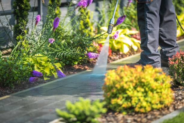 Best Soft Washing for Delicate Surfaces in Palestine, TX