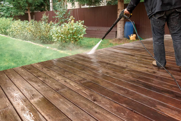 Best Concrete Surface Cleaning in Palestine, TX