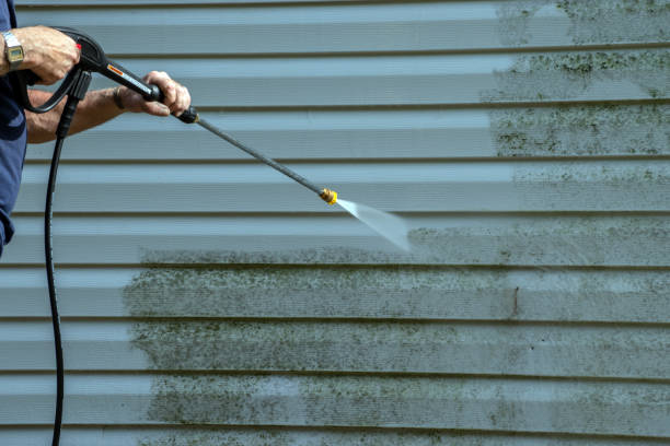 Best Driveway Cleaning and Restoration in Palestine, TX