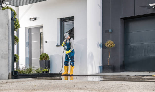 Best Brick and Stone Cleaning in Palestine, TX
